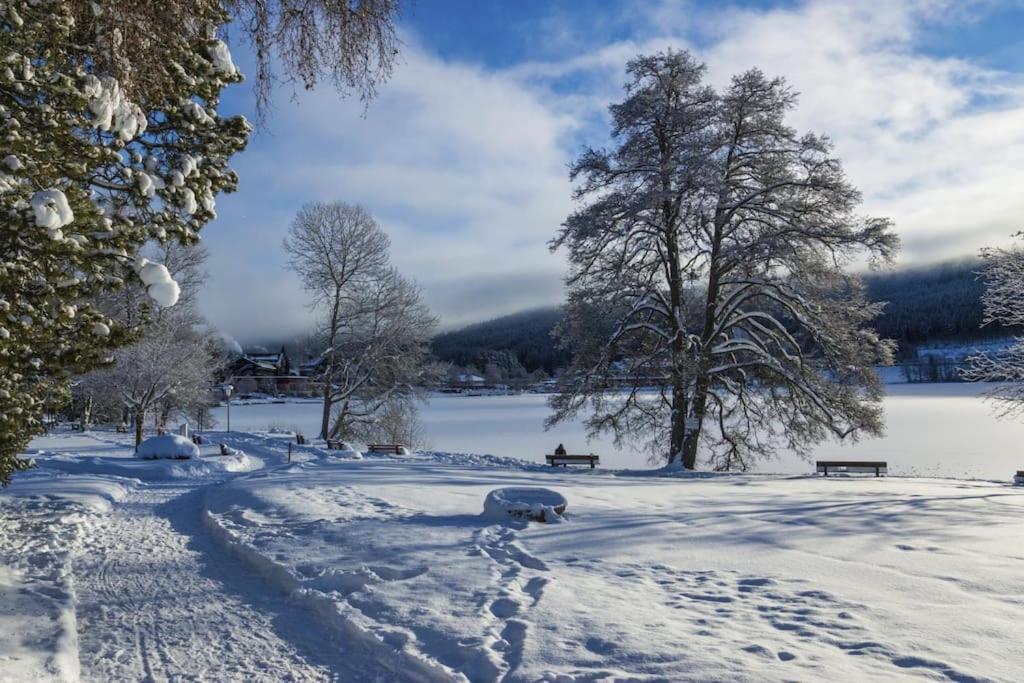 Waldklang Titisee Екстериор снимка