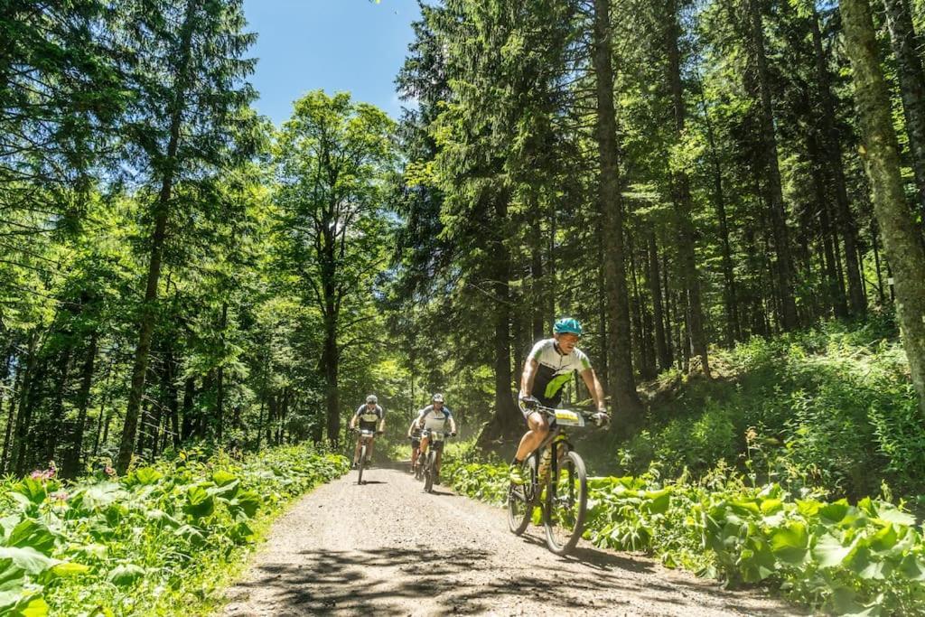 Waldklang Titisee Екстериор снимка